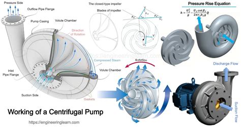 axial flow pump centrifugal force|single stage centrifugal pump working.